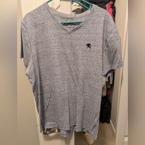 Express Blue Heather V-Neck Tee